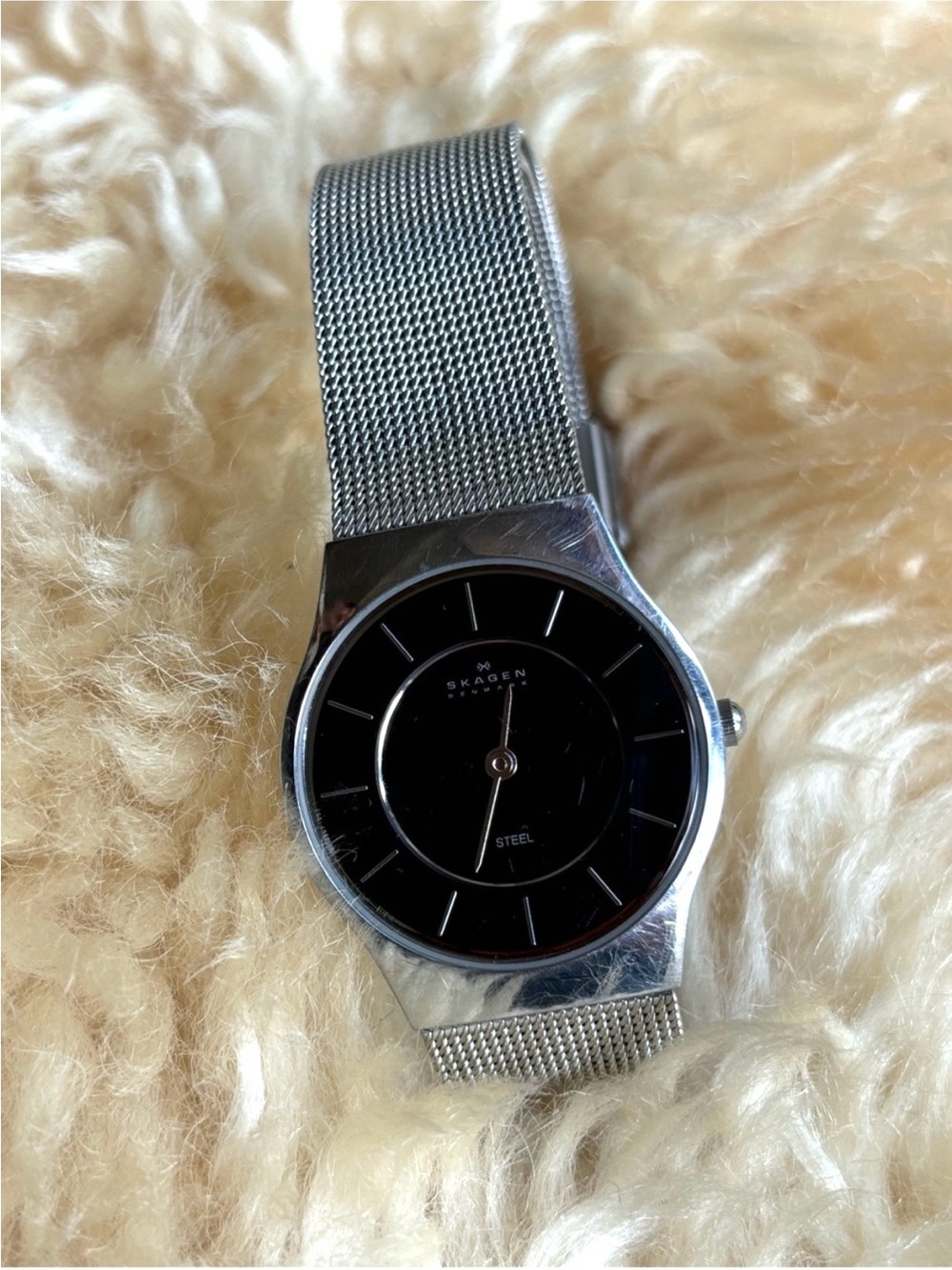 Skagen Minimalist Stainless Watch